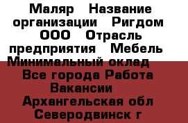 Маляр › Название организации ­ Ригдом, ООО › Отрасль предприятия ­ Мебель › Минимальный оклад ­ 1 - Все города Работа » Вакансии   . Архангельская обл.,Северодвинск г.